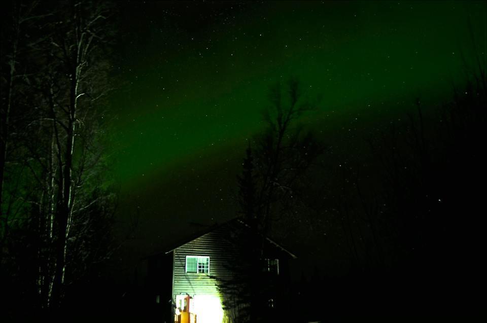 Grace And Bill'S Freedom Hills B&B ทัลคีทนา ภายนอก รูปภาพ